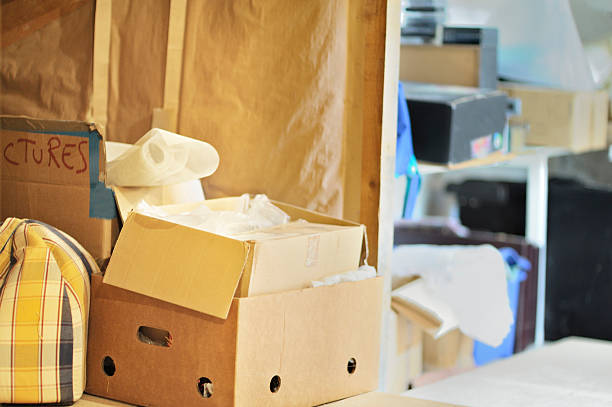 Best Professional Junk Removal  in Lake Linden, MI